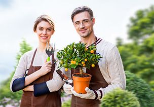 Проект «под ключ» где можно заказать по низкой цене  в Смоленске