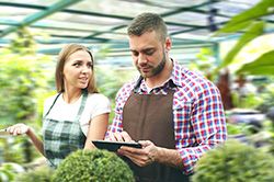 Дендроплан - верное планирование территории и решения этой задачи на уровне  в Смоленске