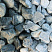 Kamenclub.ru: Щебень галтованный зеленый (змеевик) фр. 50-100 мм.  купить в Смоленске галтовка мраморная зеленый, салатовый мрамор 12 500 руб/т   фото КАМЕНЬ КЛУБ