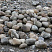 Kamenclub.ru: Речной валун (Ассорти) фр.100-300 мм.  купить в Смоленске галечник серый, темно-серый, светло-серый речная галька крупных размеров 4200 руб/т   фото КАМЕНЬ КЛУБ