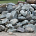 Kamenclub.ru: Гранит скальник (серо-зеленый) фр. 100-500 мм.  купить в Смоленске гранит зеленый, серый, салатовый крупный ландшафтный валун 6 000 руб/т   фото КАМЕНЬ КЛУБ