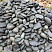 Kamenclub.ru: Темно-серый валунчик фр.100-300 мм.  купить в Смоленске крупный природный камень серый, темно-серый, светло-серый речная галька большого размера окатанная 4500 руб/т   фото КАМЕНЬ КЛУБ