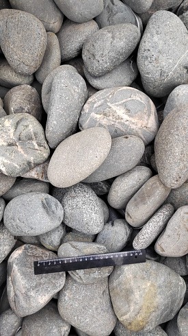 Kamenclub.ru: Галька речная окат (темно-серая) фр. 70-150 мм. купить  в Смоленске галька речная темно-серая, синяя, серая речная галька округлая  8000 руб/т   фото КАМЕНЬ КЛУБ