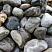 Kamenclub.ru: Речной валун Кабанчик фр.300-500 мм.  купить в Смоленске крупный природный камень галька серый, темно-серый речной валун галечник масштабный 7000 руб/т   фото КАМЕНЬ КЛУБ