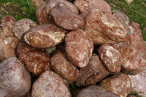 Kamenclub.ru: Розовый валунчик фр.100-300 мм.  купить в Смоленске крупный природный камень розовый, серый молочный красный речной галечник природный 7850 руб/т   фото КАМЕНЬ КЛУБ