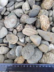 Kamenclub.ru: Галька речная окат (пестрая) фр. 20-40 мм. купить  в Смоленске галька речная пестрая, серая, серые оттенки галька речная окатанная округлая 5000 руб/т   фото КАМЕНЬ КЛУБ