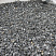 Kamenclub.ru: Щебень крошка черный (мрамор) фр. 10-20 мм.  купить в Смоленске мрамор черный с белыми прожилками, черный, белый каменная ландшафтная декоративная крошка щебня 11000 руб/т   фото КАМЕНЬ КЛУБ