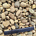 Kamenclub.ru: Галька речная окат рыжая фр. 20-40 мм. купить  в Смоленске галька речная окатанная рыжая желтая серая округлая речная галька 5000 руб/т   фото КАМЕНЬ КЛУБ