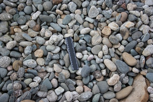 Kamenclub.ru: Галька речная окат (пестрая) фр. 20-40 мм. купить  в Смоленске галька речная пестрая, серая, серые оттенки галька речная окатанная округлая 5000 руб/т   фото КАМЕНЬ КЛУБ