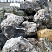 Kamenclub.ru: Черный гранит - кварцит фр. 100-500 мм.  купить в Смоленске мрамор гранит черный с белыми прожилками, серый, белый валун скальный колотый 7000 руб/т   фото КАМЕНЬ КЛУБ