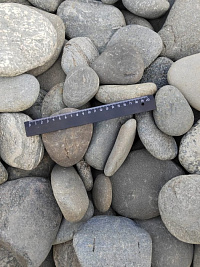 Kamenclub.ru: Галька речная плоская (серо-белая) фр. 70-120 мм. купить в Смоленске галька галечник речной серый, белый окатанная плоская  природная галька 9000 руб/т   фото КАМЕНЬ КЛУБ