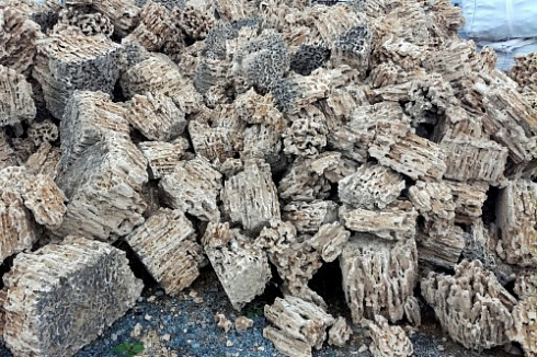 Kamenclub.ru: Крымский природный меотис фр. 100-500 мм.  купить в Смоленске меотис бежевый рыжий молочный желтый ракушечник 4 500 руб/т   фото КАМЕНЬ КЛУБ