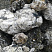 Kamenclub.ru: Черный гранит - кварцит фр. 100-500 мм.  купить в Смоленске мрамор гранит черный с белыми прожилками, серый, белый валун скальный колотый 7000 руб/т   фото КАМЕНЬ КЛУБ