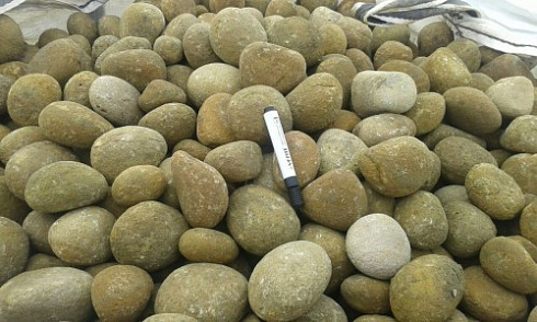 Kamenclub.ru: Песчаник ядра, фр. 100-300 мм  купить в Смоленске песчаник бежевый серый рыжий речная галька 5 000 руб/т   фото КАМЕНЬ КЛУБ