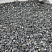 Kamenclub.ru: Щебень крошка черный (мрамор) фр. 20-40 мм.  купить в Смоленске мрамор черный с белыми прожилками мраморная каменная крошка 11000 руб/т   фото КАМЕНЬ КЛУБ