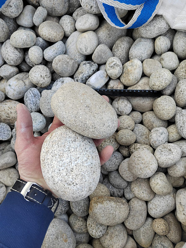 Kamenclub.ru: Галька речная окат (серо-белая) фр. 70-120 мм купить  в Смоленске галька галечник бело-серая, серо-белая, серая, белая речная природная галька  8000 руб/т   фото КАМЕНЬ КЛУБ