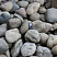 Kamenclub.ru: Темно-серый валунчик фр.100-300 мм.  купить в Смоленске крупный природный камень серый, темно-серый, светло-серый речная галька большого размера окатанная 4500 руб/т   фото КАМЕНЬ КЛУБ