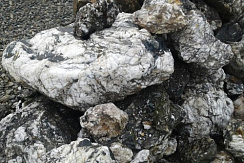 Kamenclub.ru: Черный гранит - кварцит фр. 500-1000 мм.  купить в Смоленске гранит кварцит черный серый белый скальный колотый валун 9750 руб/т   фото КАМЕНЬ КЛУБ