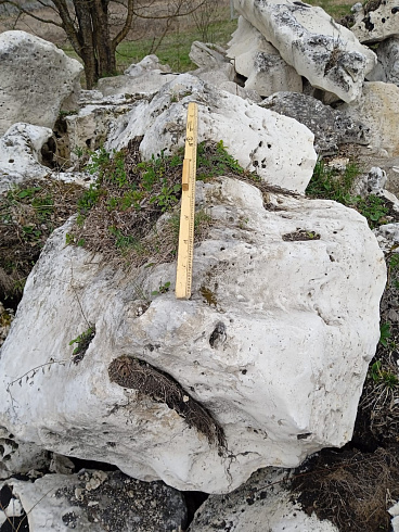 Kamenclub.ru: Выветренный известняк (степной) фр. 500-1500 мм.  купить в Смоленске    10000 руб/т   фото КАМЕНЬ КЛУБ