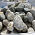 Kamenclub.ru: Речной валун (Ассорти) фр.100-300 мм.  купить в Смоленске галечник серый, темно-серый, светло-серый речная галька крупных размеров 4200 руб/т   фото КАМЕНЬ КЛУБ