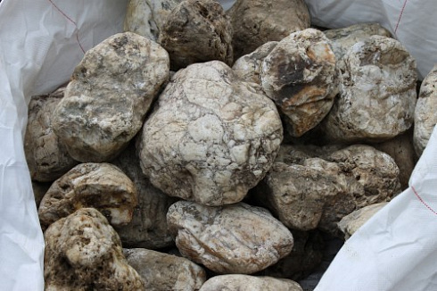 Kamenclub.ru: Кварцевый валунчик фр.100-300 мм.  купить в Смоленске кварц белый, бежевый молочный рыжий крупный природный камень галечник 7850 руб/т   фото КАМЕНЬ КЛУБ