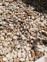 Галька Крымская Жемчужина фр. 10-20 мм.  купить в Смоленске фото Камень Клуб