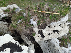 Kamenclub.ru: Выветренный известняк (степной) фр. 500-1500 мм.  купить в Смоленске    10000 руб/т   фото КАМЕНЬ КЛУБ