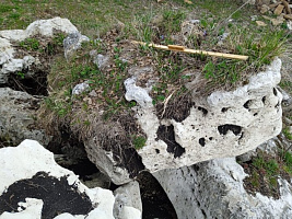 Kamenclub.ru: Выветренный известняк (степной) фр. 500-1500 мм.  купить в Смоленске    10000 руб/т   фото КАМЕНЬ КЛУБ