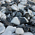 Kamenclub.ru: Мраморная крошка (щебень галтованный микс:: белый-черный) фр.20-40 мм  купить в Смоленске мрамор белый, черный мраморный галтованный щебень 15500 руб/т   фото КАМЕНЬ КЛУБ