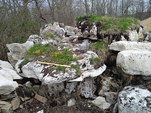 Kamenclub.ru: Выветренный известняк со мхом фр. 100-500 мм.  купить в Смоленске известняк серый белый зеленый валун известняковый крупный 10000 руб/т   фото КАМЕНЬ КЛУБ