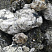 Kamenclub.ru: Черный гранит - кварцит фр. 100-500 мм.  купить в Смоленске мрамор гранит черный с белыми прожилками, серый, белый валун скальный колотый 7000 руб/т   фото КАМЕНЬ КЛУБ