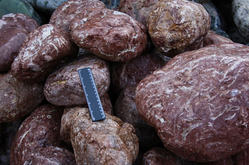 Kamenclub.ru: Розовый валунчик фр.100-300 мм.  купить в Смоленске крупный природный камень розовый, серый молочный красный речной галечник природный 7850 руб/т   фото КАМЕНЬ КЛУБ