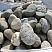Kamenclub.ru: Речной валун (Ассорти) фр.100-300 мм.  купить в Смоленске галечник серый, темно-серый, светло-серый речная галька крупных размеров 4200 руб/т   фото КАМЕНЬ КЛУБ