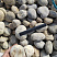 Kamenclub.ru: Галька речная окат (серо-белая) фр. 70-120 мм купить  в Смоленске галька галечник бело-серая, серо-белая, серая, белая речная природная галька  8000 руб/т   фото КАМЕНЬ КЛУБ