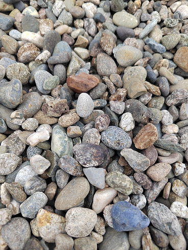 Kamenclub.ru: Галька речная окат (серая) фр.10-20 мм купить  в Смоленске галька речная серая, серый, темно-серый, светло-серый, коричневый ландшафтная декоративная речная окатанная округлая галька 5000 руб/т   фото КАМЕНЬ КЛУБ
