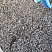 Kamenclub.ru: Галька речная окат (серая) фр.3-5 мм купить  в Смоленске галька речная серая бежевый темно-серый окатанный речной камень округлый 9500 руб/т   фото КАМЕНЬ КЛУБ