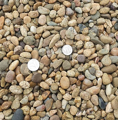 Kamenclub.ru: Галька окат (серо-желтая) фр.10-20 мм. купить  в Смоленске галька серо-желтая, рыжая, серый речная окатанная округлая галька 5000 руб/т   фото КАМЕНЬ КЛУБ