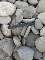 Kamenclub.ru: Галька речная плоская (ассорти) фр. 70-150 мм. купить в Смоленске галька галечник серый белый темно-серый синий светло-серый плоская природная галька  9000 руб/т   фото КАМЕНЬ КЛУБ