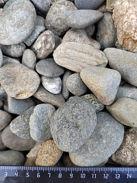 Kamenclub.ru: Галька речная окат (серая) фр.40-60 мм купить  в Смоленске галька речная серый бежевый рыжий коричневый округлый речной камень 5000 руб/т   фото КАМЕНЬ КЛУБ