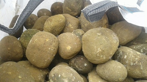 Kamenclub.ru: Песчаник ядра, фр. 100-300 мм  купить в Смоленске песчаник бежевый серый рыжий речная галька 5 000 руб/т   фото КАМЕНЬ КЛУБ