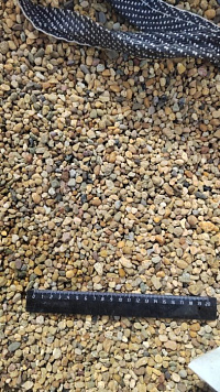 Kamenclub.ru: Галька окат (серо-желтая) фр.5-10 мм. купить  в Смоленске галька речная рыжий, желтый, рыжий, серо-желтый речная окатанная галька декоративная 5000 руб/т   фото КАМЕНЬ КЛУБ