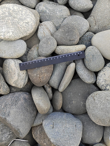 Kamenclub.ru: Галька речная плоская (ассорти) фр. 70-150 мм. купить  в Смоленске галька галечник серый белый темно-серый синий светло-серый плоская природная галька  9000 руб/т   фото КАМЕНЬ КЛУБ