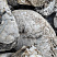 Kamenclub.ru: Кварцевый валунчик фр.100-300 мм.  купить в Смоленске кварц белый, бежевый молочный рыжий крупный природный камень галечник 7850 руб/т   фото КАМЕНЬ КЛУБ