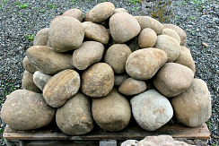 Kamenclub.ru: Песчаник ядра, фр. 100-300 мм  купить в Смоленске песчаник бежевый серый рыжий речная галька 5 000 руб/т   фото КАМЕНЬ КЛУБ