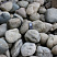 Kamenclub.ru: Речной валун (Ассорти) фр.100-300 мм.  купить в Смоленске галечник серый, темно-серый, светло-серый речная галька крупных размеров 4200 руб/т   фото КАМЕНЬ КЛУБ