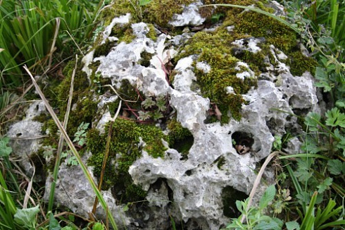 Kamenclub.ru: Выветренный известняк со мхом фр. 100-500 мм.  купить в Смоленске известняк серый белый зеленый валун известняковый крупный 10000 руб/т   фото КАМЕНЬ КЛУБ