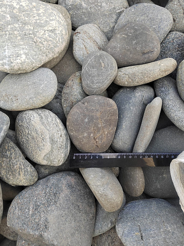 Kamenclub.ru: Галька речная плоская (ассорти) фр. 70-150 мм. купить  в Смоленске галька галечник серый белый темно-серый синий светло-серый плоская природная галька  9000 руб/т   фото КАМЕНЬ КЛУБ