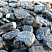Kamenclub.ru: Щебень галтованный черный (мрамор) фр.20-40 мм.  купить в Смоленске мрамор черный с белыми прожилками мрамор окатанный округлый 15000 руб/т   фото КАМЕНЬ КЛУБ