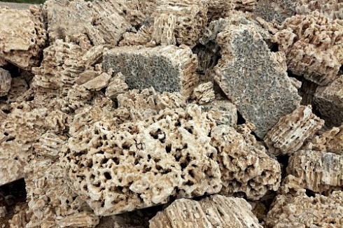 Kamenclub.ru: Крымский природный меотис фр. 100-500 мм.  купить в Смоленске меотис бежевый рыжий молочный желтый ракушечник 4 500 руб/т   фото КАМЕНЬ КЛУБ