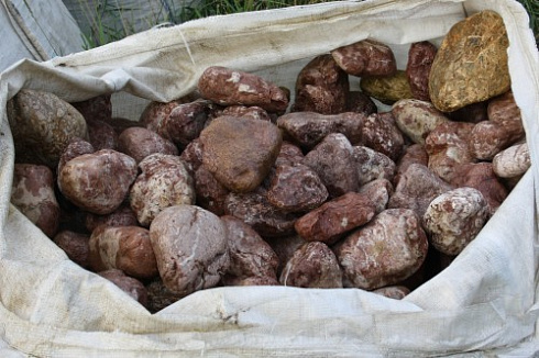 Kamenclub.ru: Розовый валунчик фр.100-300 мм.  купить в Смоленске крупный природный камень розовый, серый молочный красный речной галечник природный 7850 руб/т   фото КАМЕНЬ КЛУБ